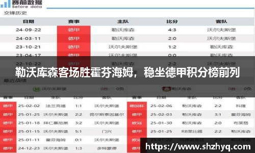 勒沃库森客场胜霍芬海姆，稳坐德甲积分榜前列