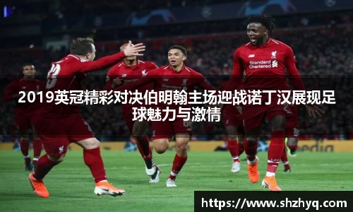 2019英冠精彩对决伯明翰主场迎战诺丁汉展现足球魅力与激情